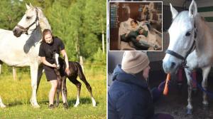 Carolina Lundin arbetade tidigare som ridlärare på Gömmagårdens ridskola. Förra året var hon med om en allvarlig ridolycka och låg i koma i tio dagar.