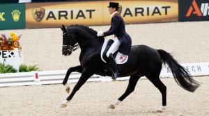 Totilas, dressyrhästen som var på hela världens läppar för tio år sen, var inte någon favorit hos Kajsa Boström. Men nu har hon hittat hans dubbelgångare.