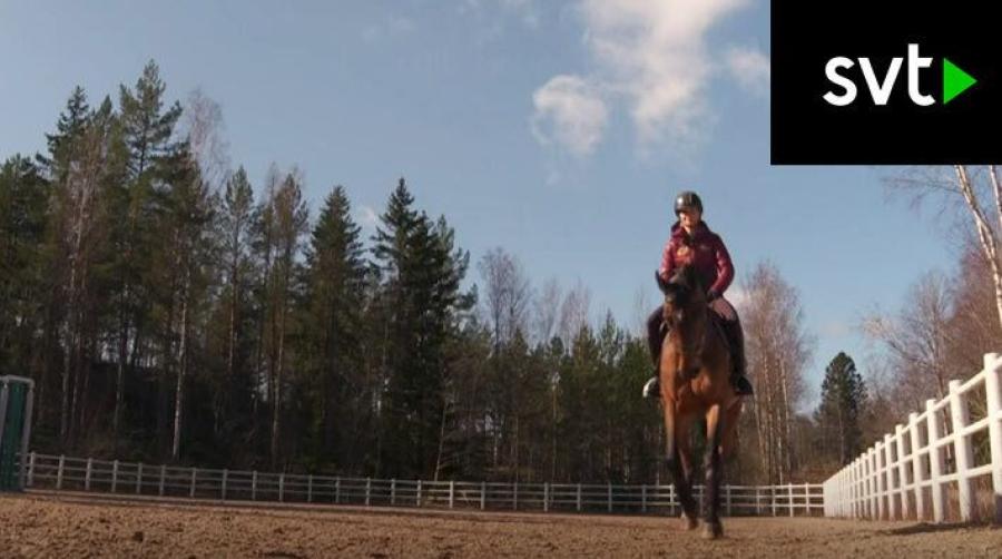 Malin Baryard Johnsson: ”Inte alls vad vi behövde nu”