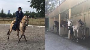 Efter en två veckor lång, något avskärmad, semester i Sverige är Astrid Hedman hemma igen. Detta med ny energi och motivation för nya utmaningar.