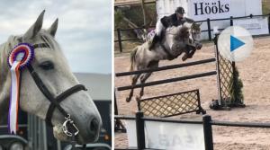 Sara har tävlat med flera hästar i helgen. Busiga Bill bockade loss på framhoppningen, men satte sedan nollan. Och Marco var modig och fin i 1,40-klassen.