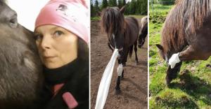 När veterinärmottagningen i Gällivare lagts ner har djurägare i området den närmaste i Kiruna, tolv mil bort. Annika Hagstedt berättar om en otäck väntan.
