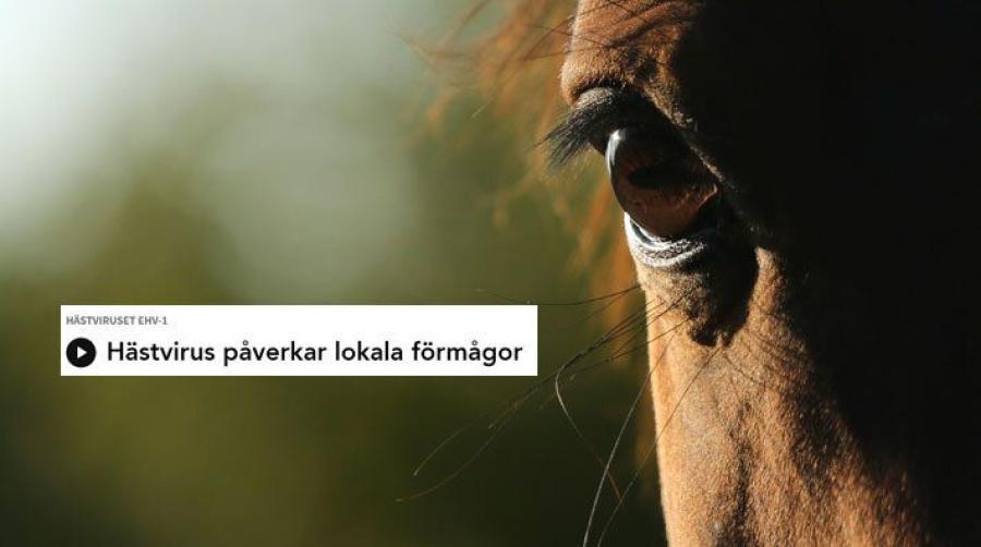 Arkivfoto: Adobe Stock