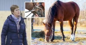 FEI och nationella förbund tillåter saker i sina reglementen som borde varit förbjudna för längesedan, menar Kajsa Boström. Läs hennes blogginlägg.