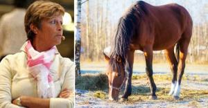 En av Kajsa Boströms elever ska köpa häst. Nyligen trodde de att hon hittat rätt, men det föll på besiktningen. Hästen var halt och bra på att dölja det.