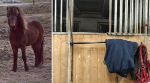 Hästägaren Tobbe Segebladh har på sociala medier gått ut med en varning kring att ha täckeshängare på boxdörrarna. Två hästar i stallet har skadat sig.
