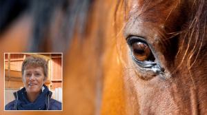 Kajsa Boströms vän Tina är en klippa som Kajsa och många andra kan luta sig mot. Detta när hästlivet blir svårt – som när man måste ta bort sin vän.