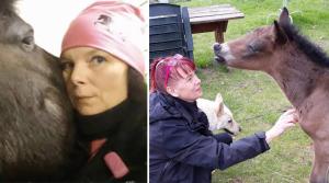 Djurvårdaren Annika Hagstedt förlorar jobbet när Distriktsveterinärerna lägger ner sin mottagning i Gällivare. Hon blir även en hästägare utan nära akutvård.