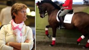 Kan det verkligen stämma att en lusitano eller PRE, rent fysiologiskt, inte kan bocka? Kajsa Boström har konsulterat självaste Kyra Kyrklund.
