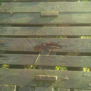 Fix och trix på gården!