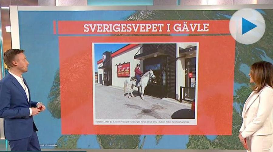 <p>Karolin Lidéns ridtur i helgen med 13-åriga hästen Principe gick till en hamburgerkedja. En tur som blivit en riksnyhet genom TV4-programmet Efter fem.