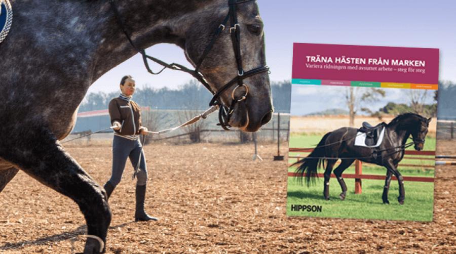 "Träna hästen från marken: Variera träningen med avsuttet arbete – steg för steg" är vår mest sålda träningsbok genom tiderna.