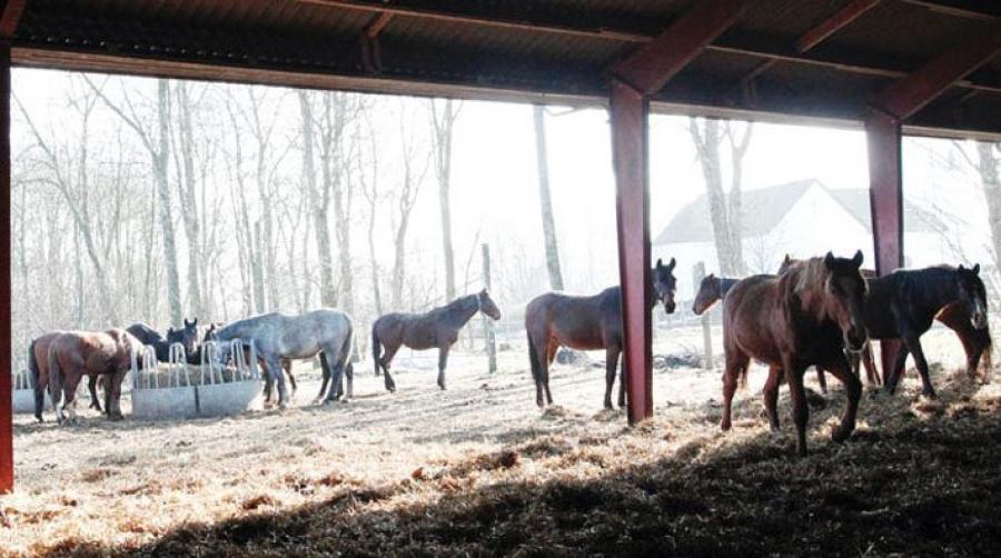 Arkivfoto: Ida Röök