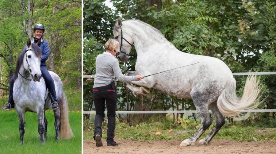 Anna ger gratis ridlektioner till vårdpersonal 