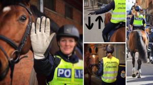 Både polishästar och ”vanliga” hästar är flyktdjur, vilket man måste ta hänsyn till i trafiken. Något Polisrytteriet i Stockholm uppmärksammar i Gästbloggen.