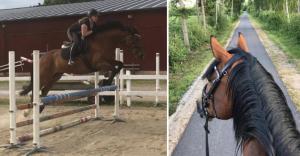 Gästblogg: Tack till mopedisterna som förstår hur man ska agera runt hästar