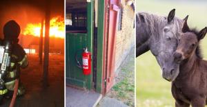 "Varje år brinner det i 4.500 gårdar och stall i Sverige – hur är ni förberedda?"