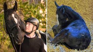 En känsloladdad morgon