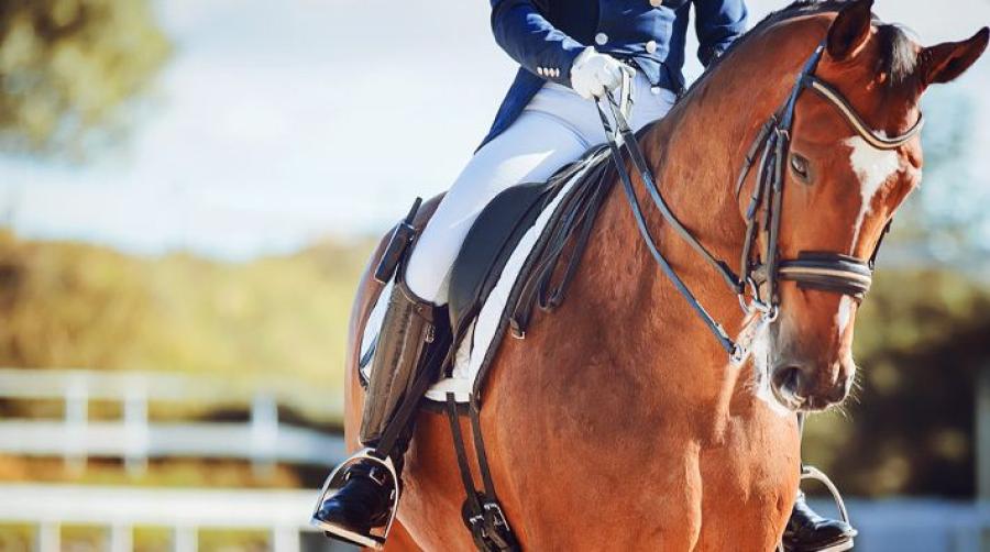 Kontroll på yttersidan genom "halva" snett igenom