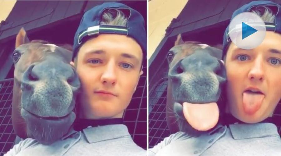 <p>De här två väljer att räcka ut tungan åt världen i ett härligt inlägg på Instagram. Slump eller kan hästen räcka ut tungan på kommando är frågan.