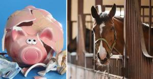 <i> Foto: Adobe Stock </i>