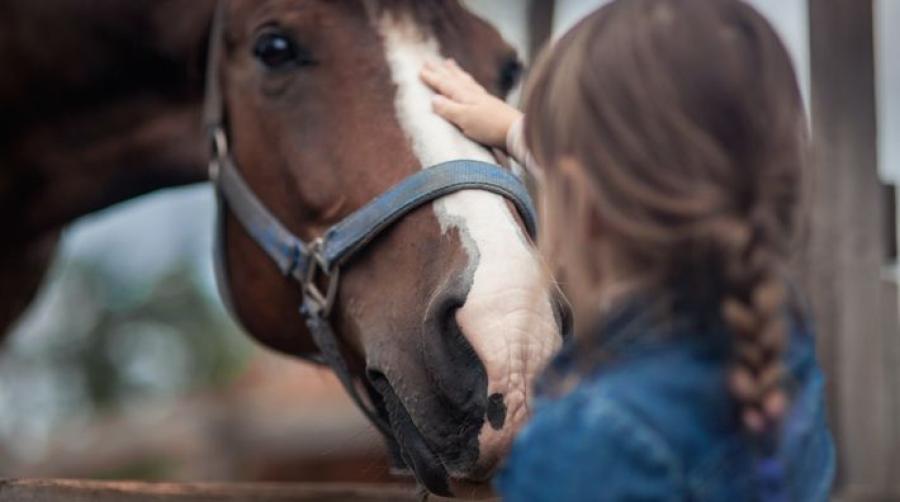 Arkivfoto: Adobe Stock