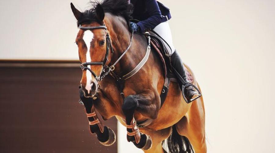 Ekipaget på bilden har inget samband med artikeln.