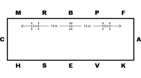 Kvickare hopphäst – trots långsamt tempo