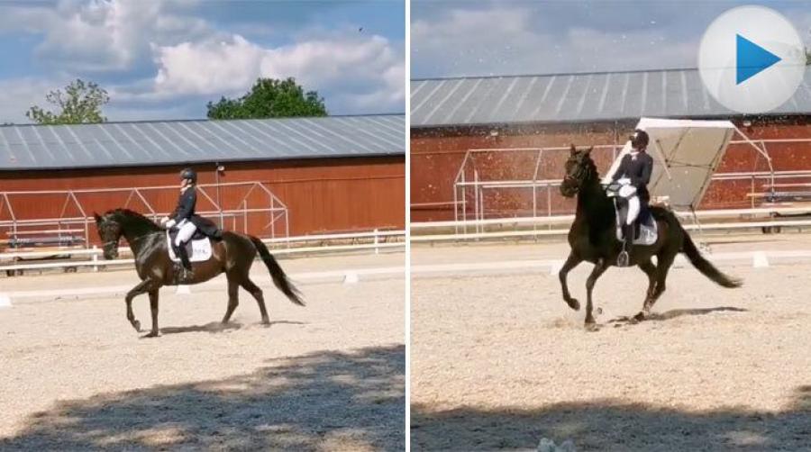 <p>Det blev onödigt spännande när Linn Larsson vid inledningen av sin ritt med stoet Corona fick se hur ett tält vid banan lättade från marken och flög iväg.