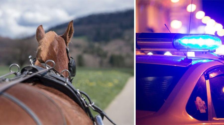 Arkivfoto: Adobe Stock