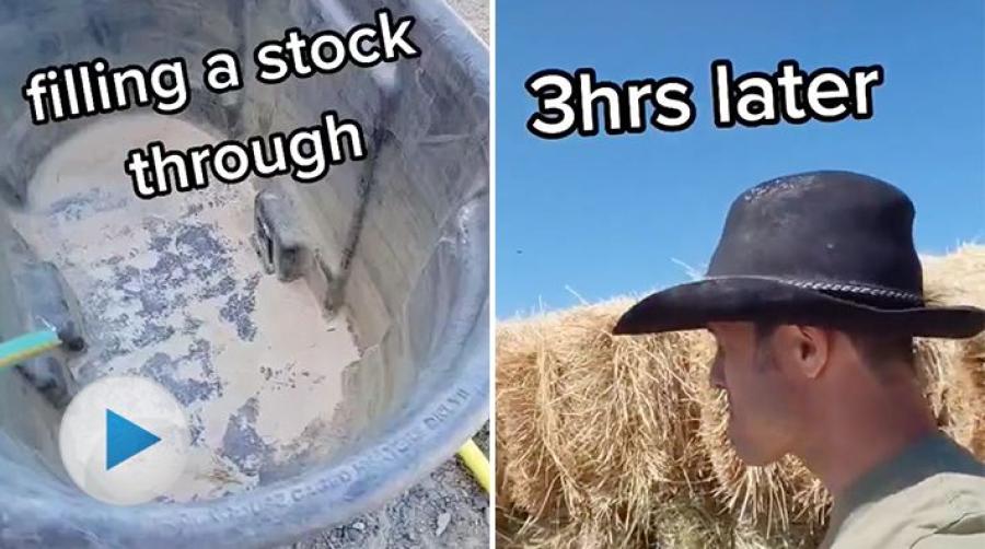 <p>Värmen är här och att fylla vatten i hagarna är viktigare än någonsin. Men så var det det här med att komma ihåg den där påslagna vattenslangen... </p>