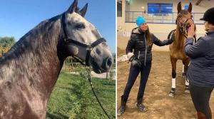 Astrid Hedman berättar om sin härliga, vita jul hemma i Piteå. Men trots familjemys längtade hon faktiskt tillbaka till Portugal och sina nya hästar.
