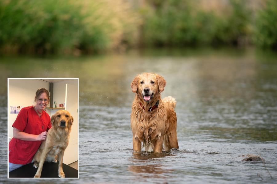 Foto: Privat (infällt bild) & Adobe Stock