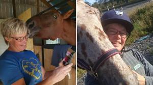 Veterinär Johanna Habbe tar sig an ett viktigt ämne. Hon gästbloggar om hästar som, på grund av ryttarens okunskap eller inkompetens, rids till skador.