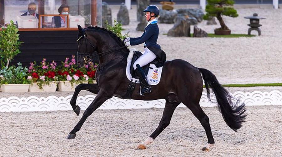 Foto: Tomas Holcbecher