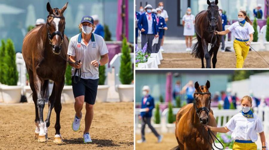 Fälttävlanshästarna genom besiktningen