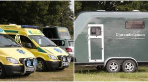 Ambulanser för två- och fyrbenta finns på plats.