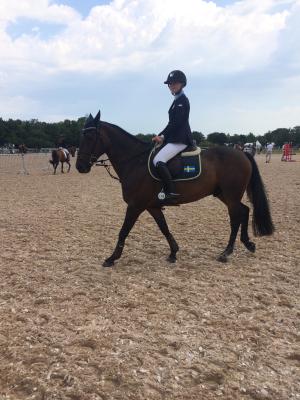 Laghoppningen avslutad