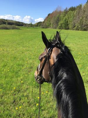 Ute på tur med nr 1!