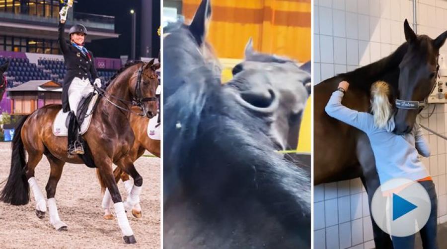 För Jessica von Bredow-Werndl och TSF Dalera blev OS i Tokyo en riktig succé med dubbla guldmedaljer. Hemma väntade mysstund med kompisarna.