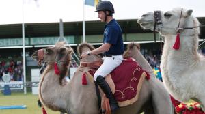 Douglas vann kamelracet