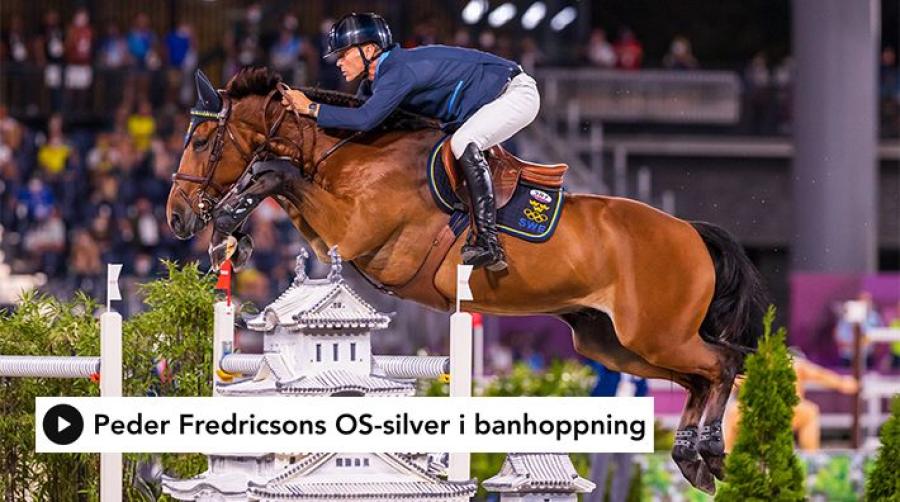 Foto: Tomas Holcbecher