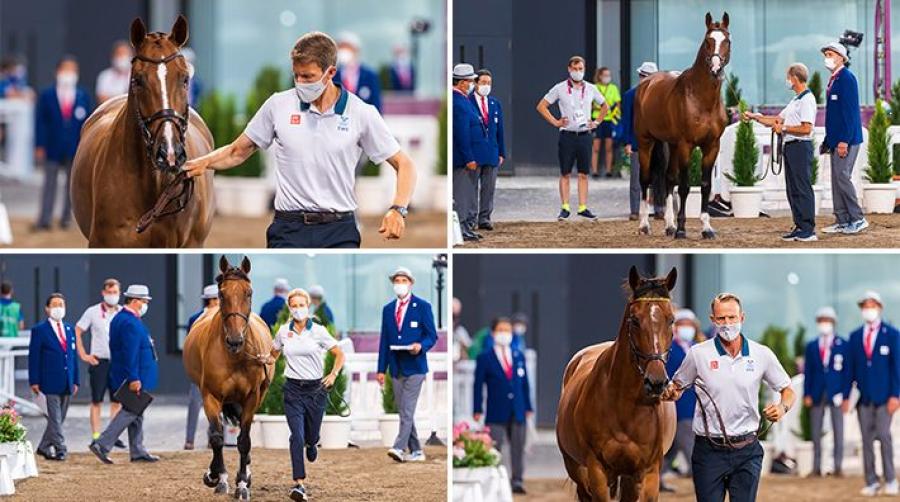 Bilder från veterinärbesiktningen inför den individuella tävlingen. Foto: Tomas Holcbecher