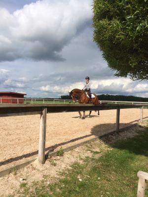 Sara och Calimba njuter av solen trots regntunga moln