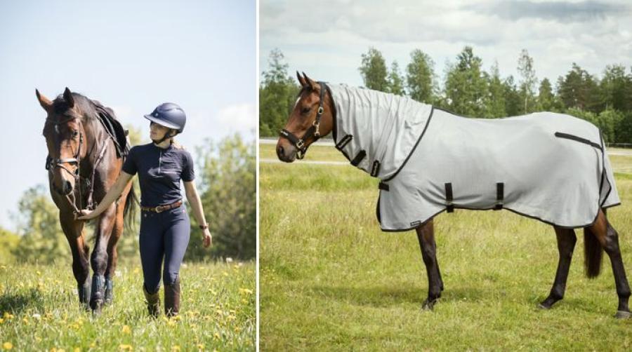 Sommarprodukter för maximal återhämtning