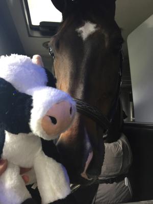 Han fick en maskot av tjejerna hos Beerbaums :)