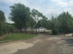 Från en storstad till en annan: Peking!