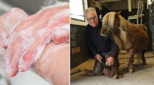 I ett inlägg förklarar hovslagaren Peter Frosch att han arbetar som vanligt även i coronatider. Han uppmanar dock hästägare att tänka till kring smittspridning.