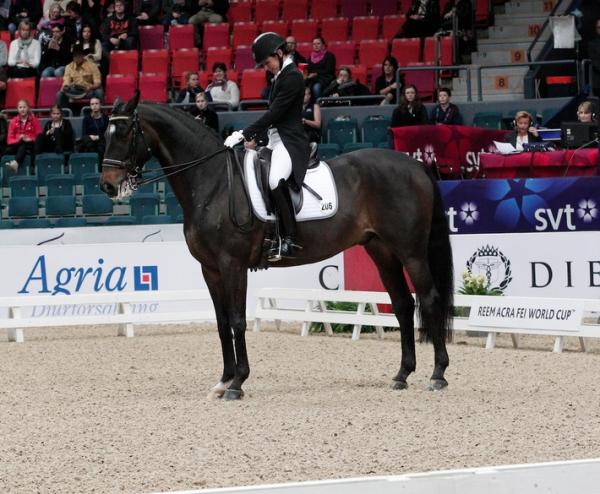 Caroline Darcourt och Paridon Magi kom elva i klassen. 69,950 procent fick de.
– Magi känns fortfarande lite chockad över att komma in på arenan. Det är inte så konstigt med tanke på vår utomhussäson...