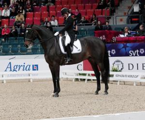 Caroline Darcourt och Paridon Magi kom elva i klassen. 69,950 procent fick de.
– Magi känns fortfarande lite chockad över att komma in på arenan. Det är inte så konstigt med tanke på vår utomhussäson...
